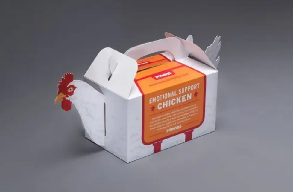 Popeyes Fried Chicken Box