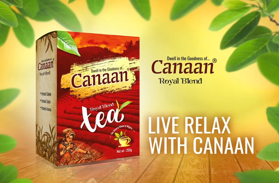 Canaan Royal Blend Tea Box